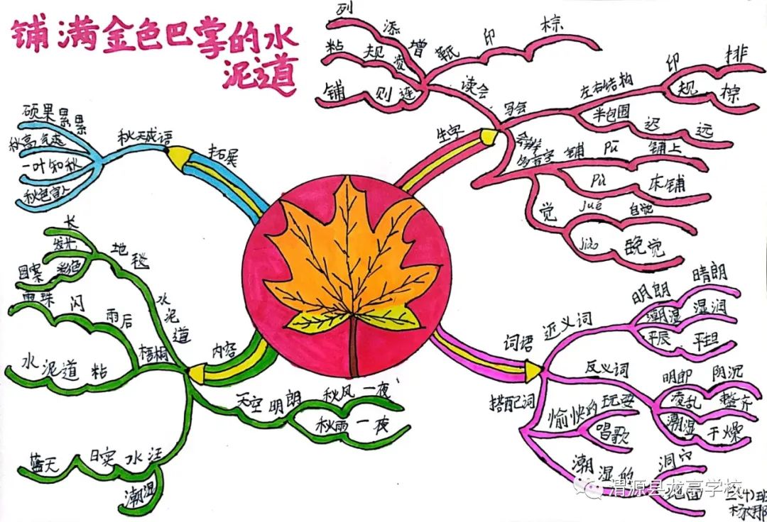 三年级语文 铺满金色巴掌的水泥道思维导图