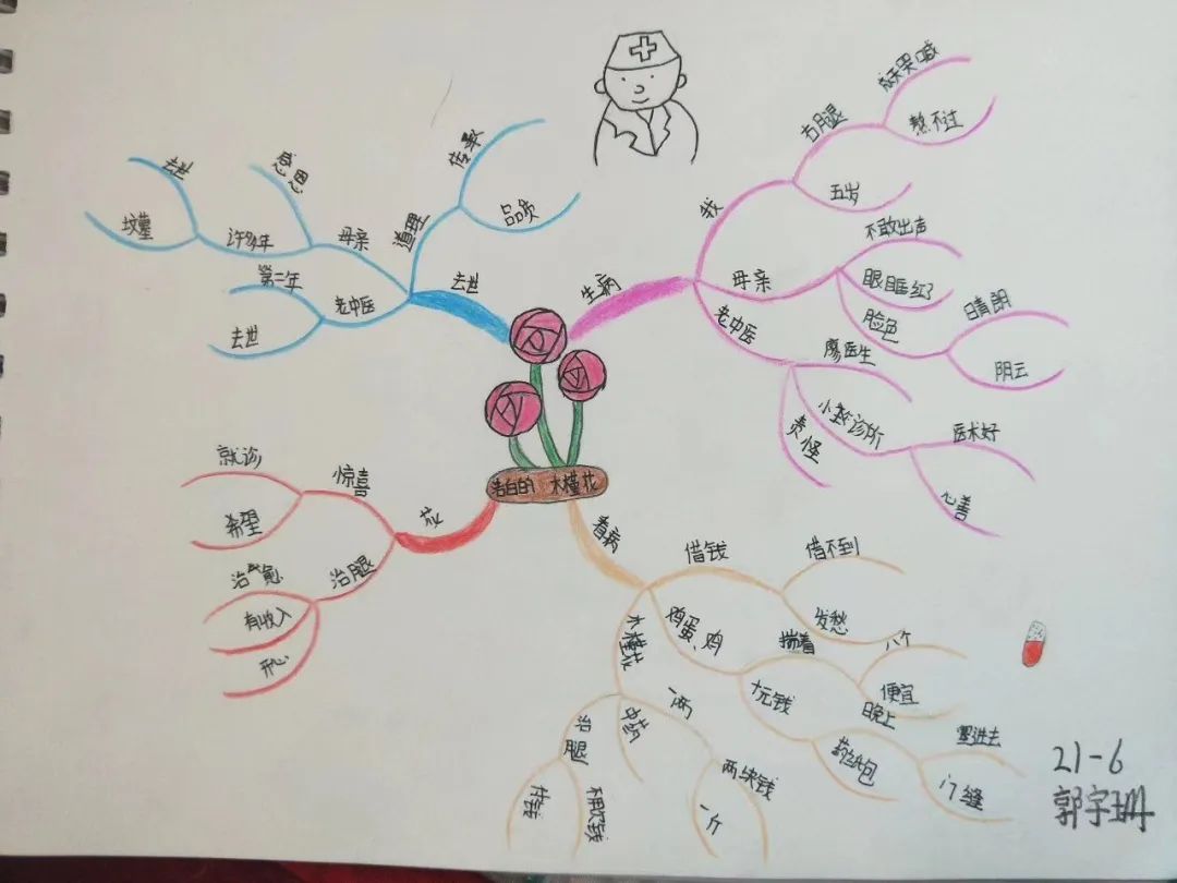 五年级阅读训练《洁白的木槿花》思维导图