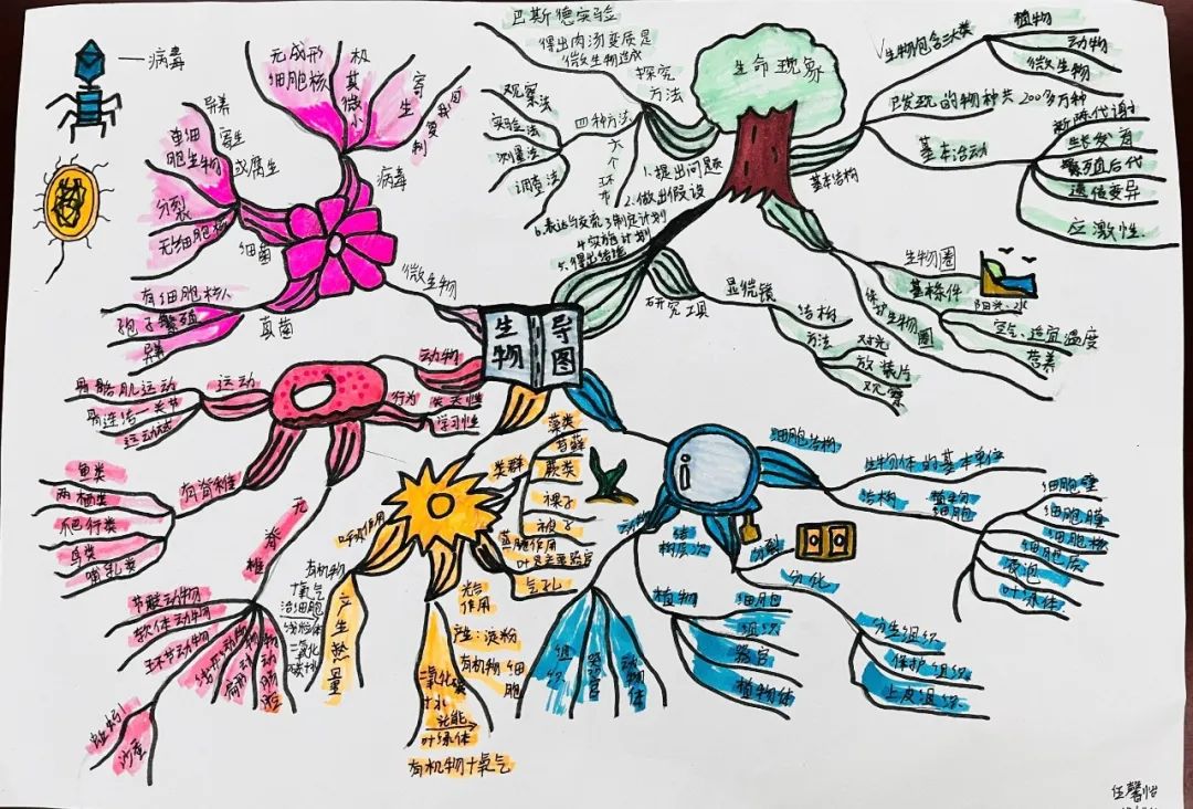八年级生物思维导图作品 生物导图