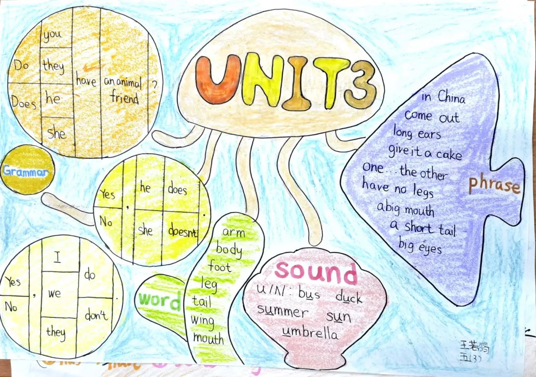 五年级英语unit3思维导图作品