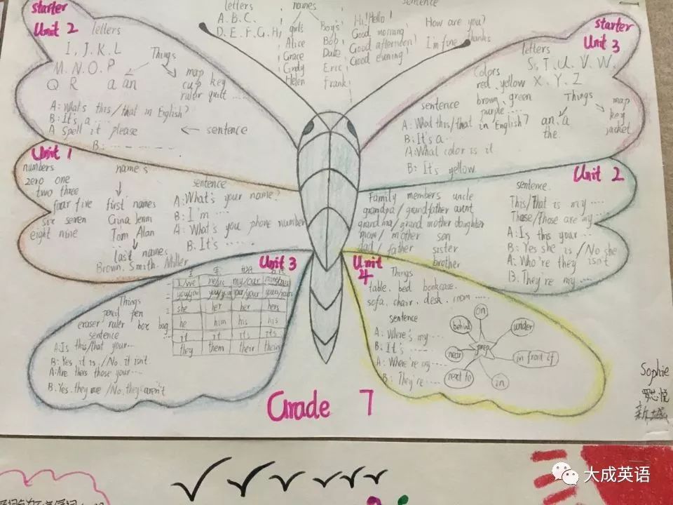 创意蝴蝶七年级英语思维导图