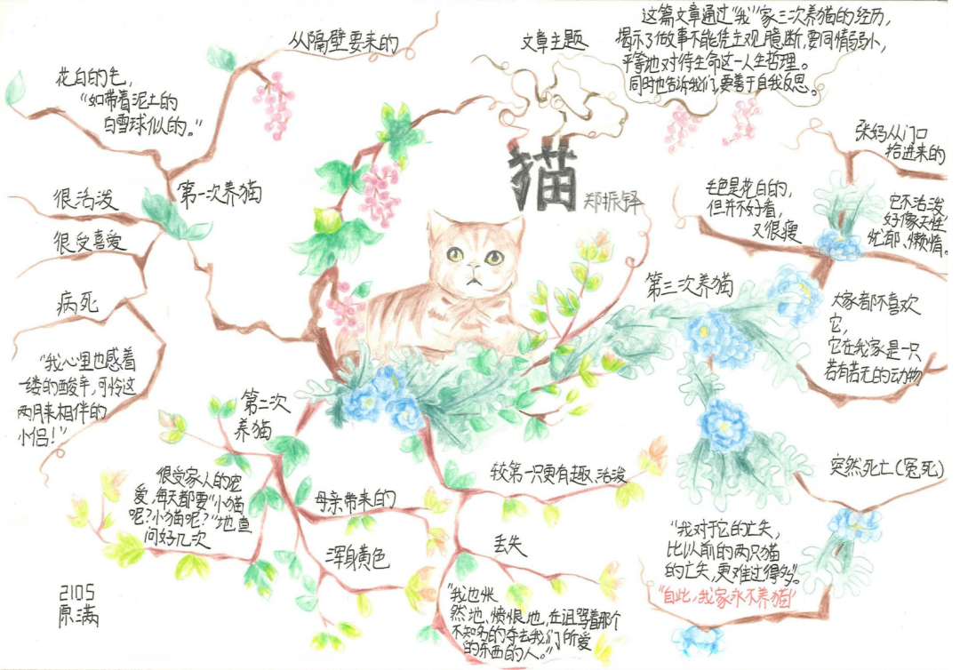 初中语文思维导图 《猫》思维导图作品
