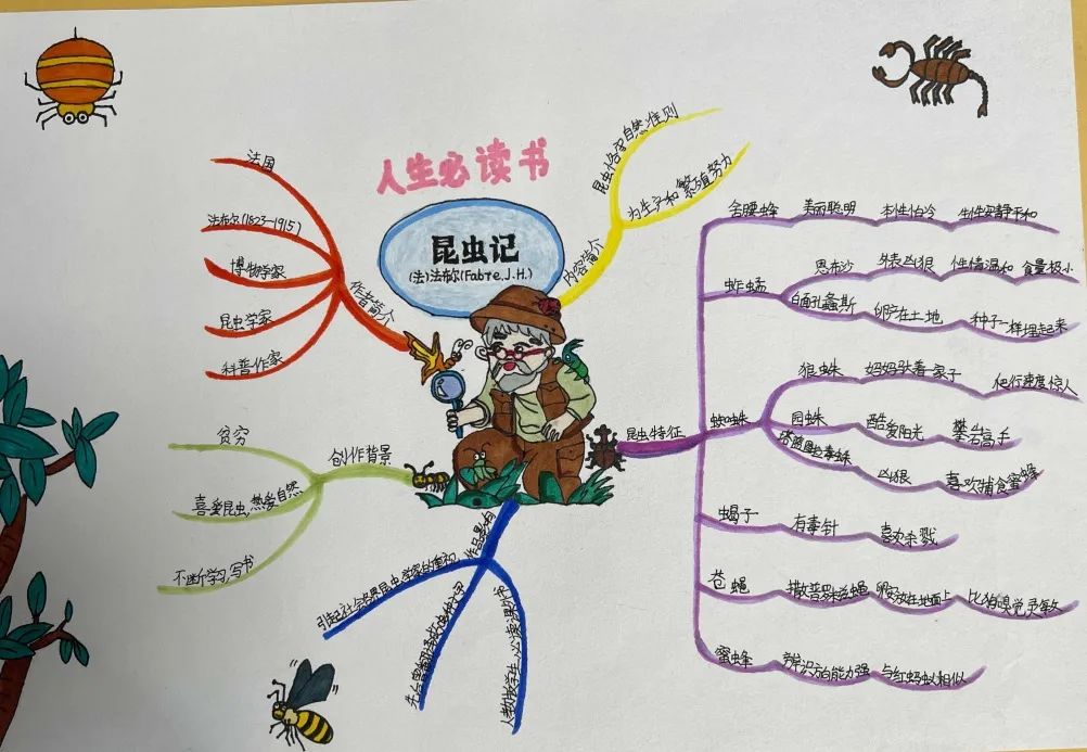 小学生课外阅读 《昆虫记》思维导图怎么画