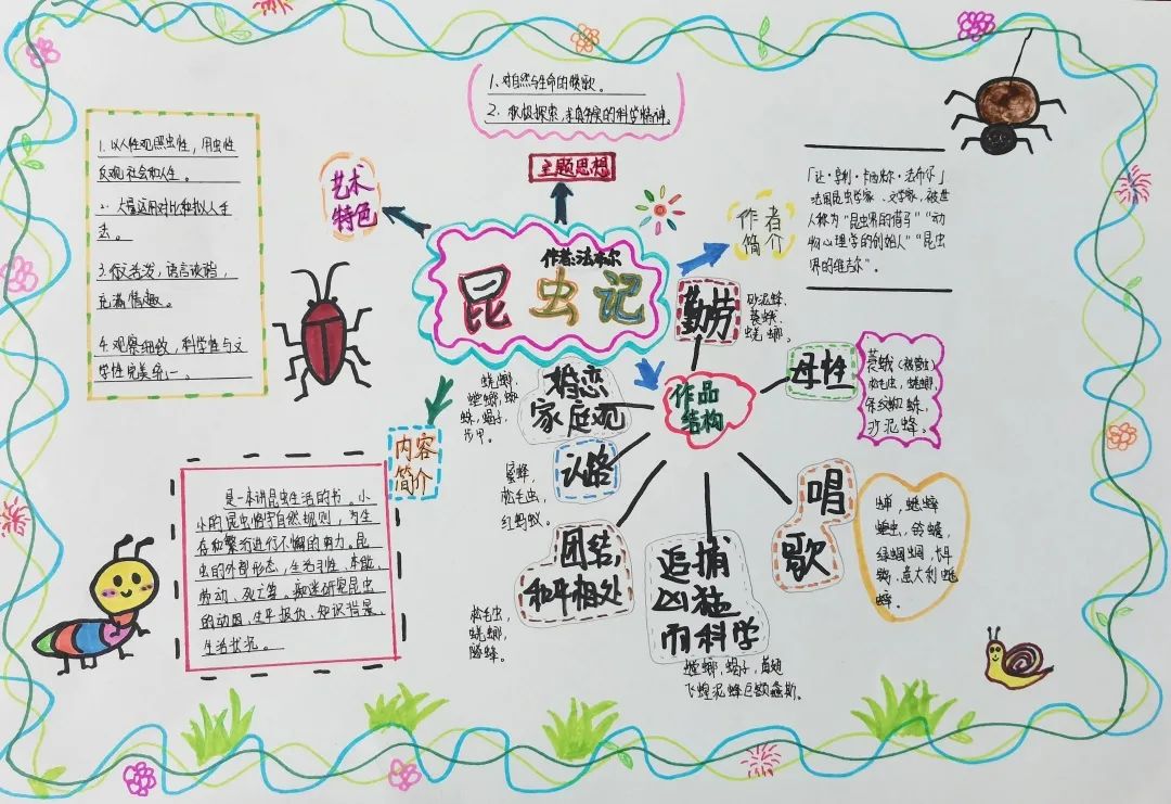 课外阅读思维导图优秀作品 《昆虫记》五年级学生作品
