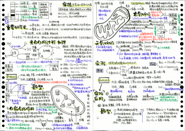 高三生物思维导图 光合作用过程机理