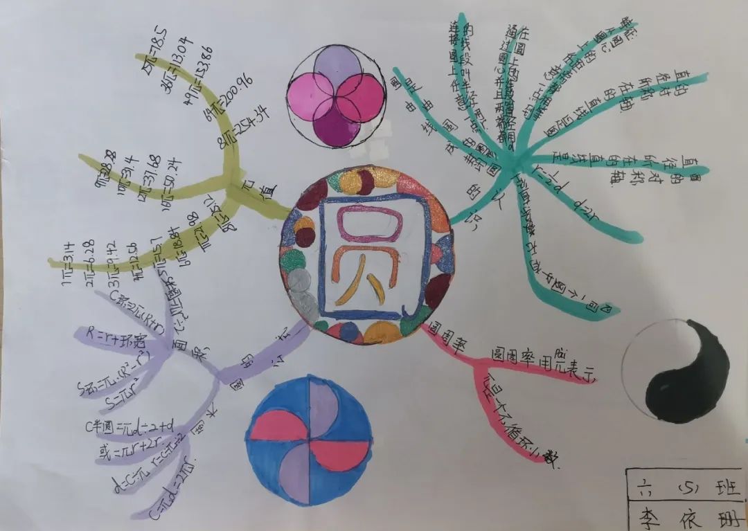 数学六年级第一单元圆知识梳理思维导图