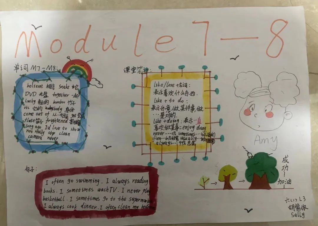 六年级module7-8英语思维导图