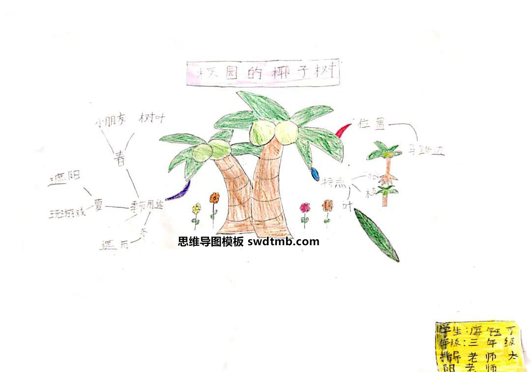 《校园的椰子树》作文思维导图
