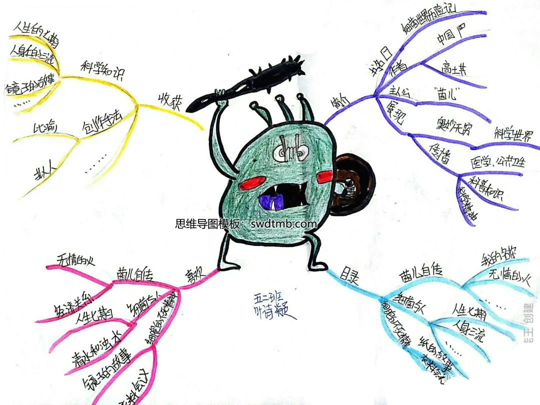 细菌的思维导图. 简单图片