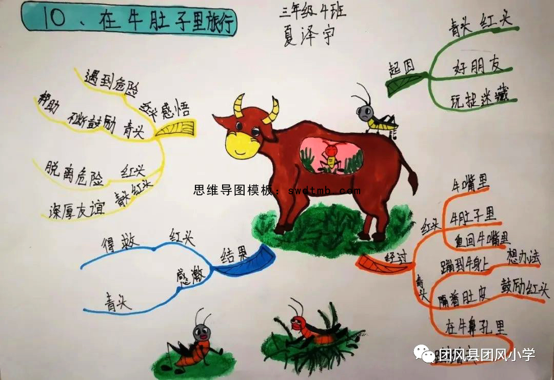 三年级语文课文在牛肚子里旅行思维导图