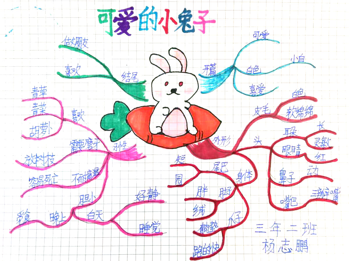 三年级语文《可爱的小兔子》思维导图