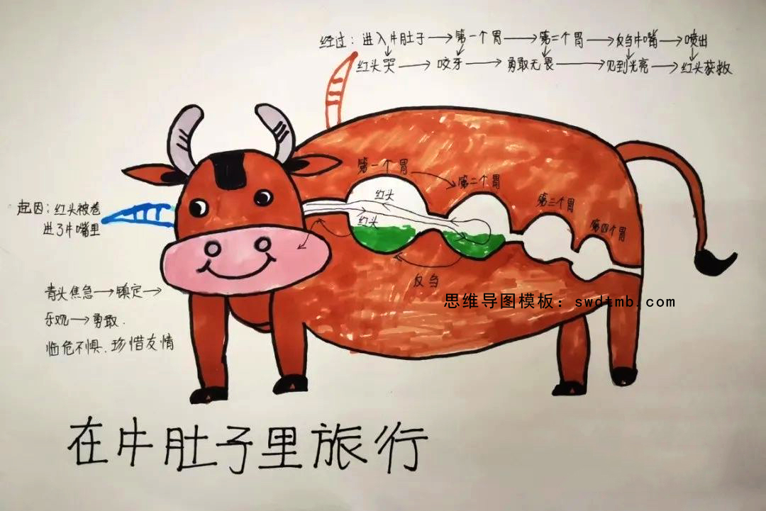 简单的在牛肚子里旅行思维导图怎么画
