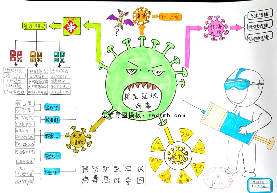 四年级科学关于新型冠状病毒的思维导图