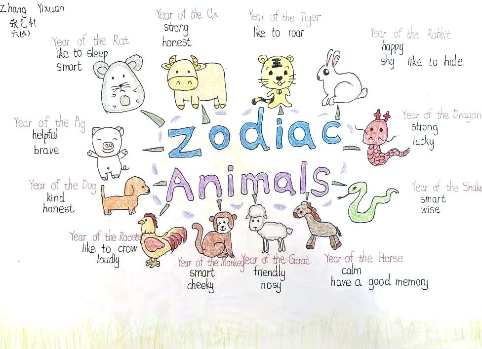 《zodiac animals》思维导图图片