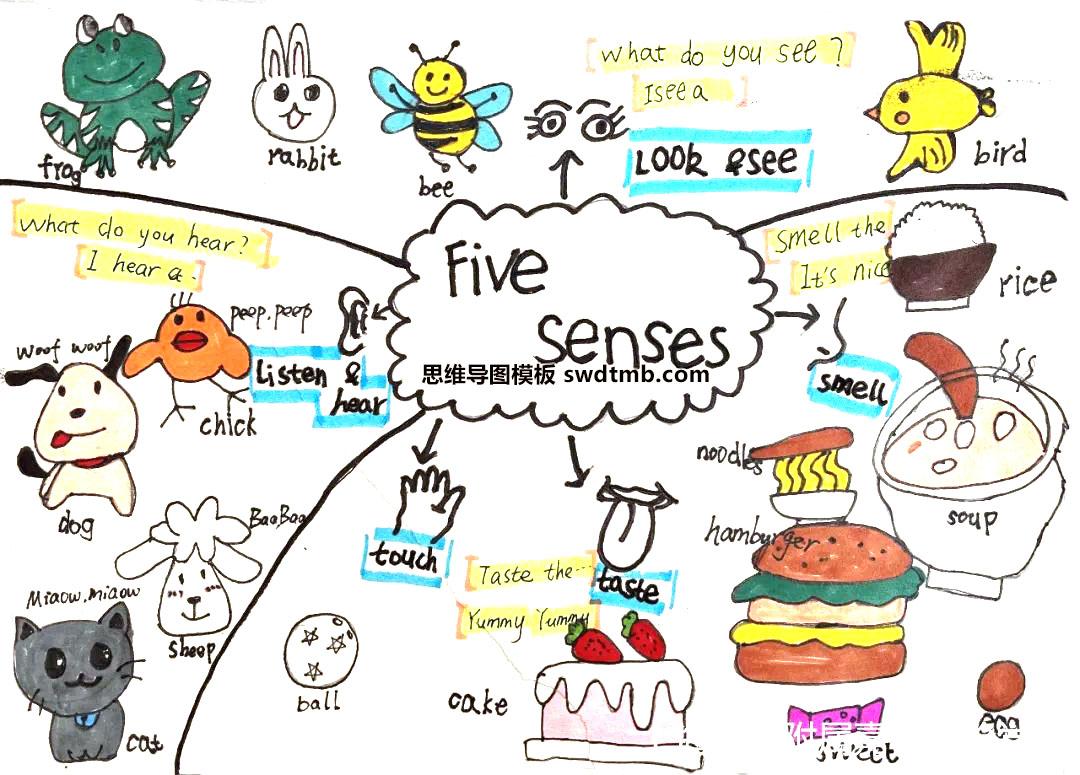 关于五官感觉的英语思维导图怎么画