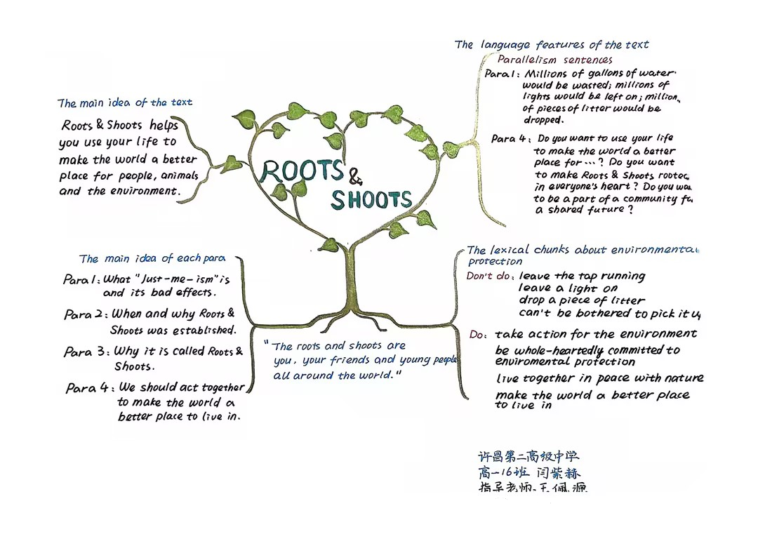 高一英语《roots shoots》思维导图怎么画