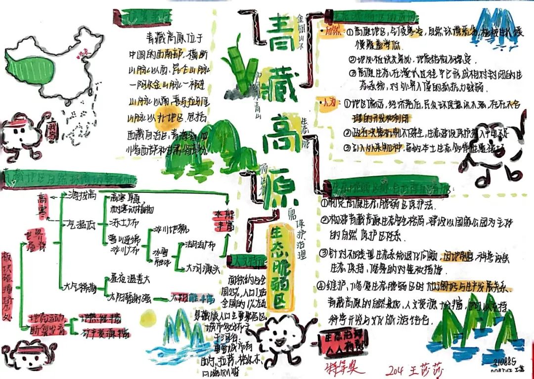 高二地理《青藏高原生态脆弱区》思维导图