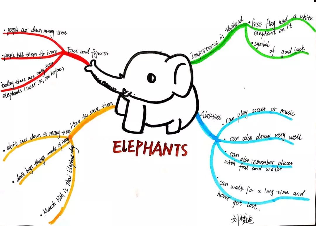 关于大象的英语思维导图图片