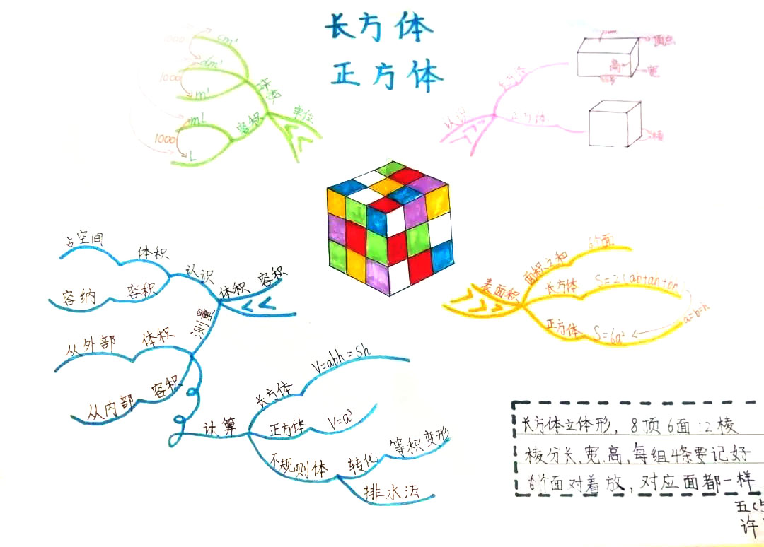 长方体和正方体的思维导图5五级