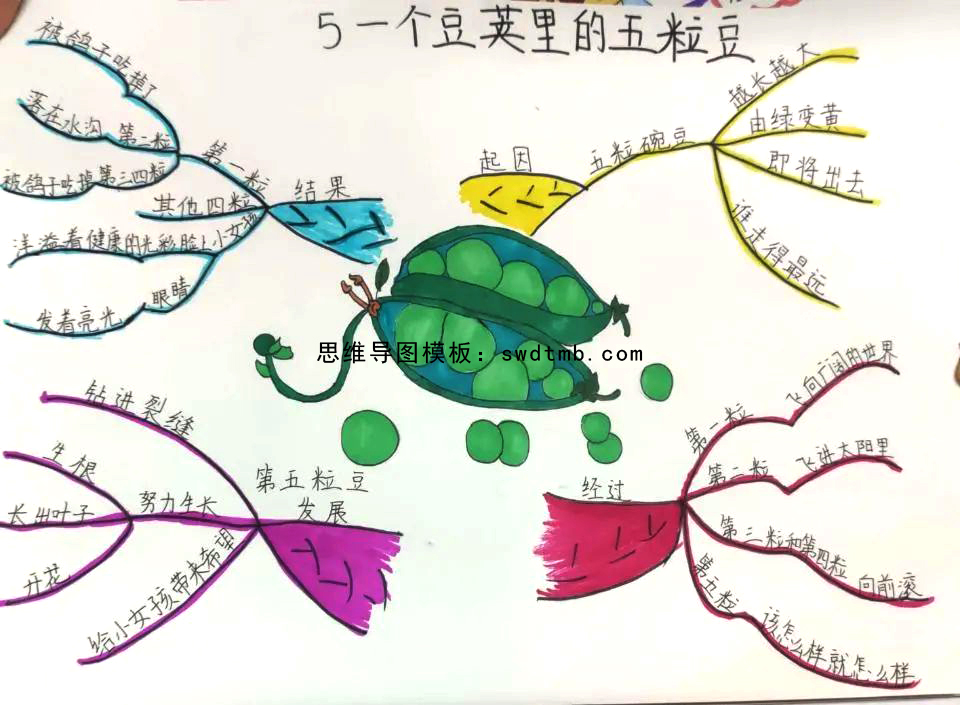 四年级语文课文一个豌豆荚里的五粒豌豆思维导图