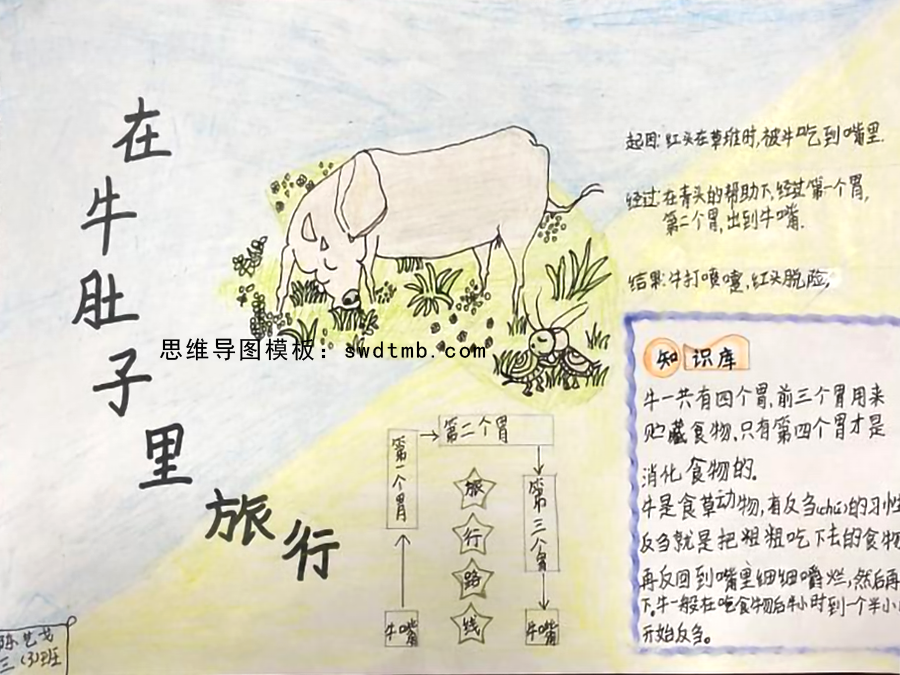 “故事类文本”思维导图 三年级语文课文在牛肚子里旅行思维导图