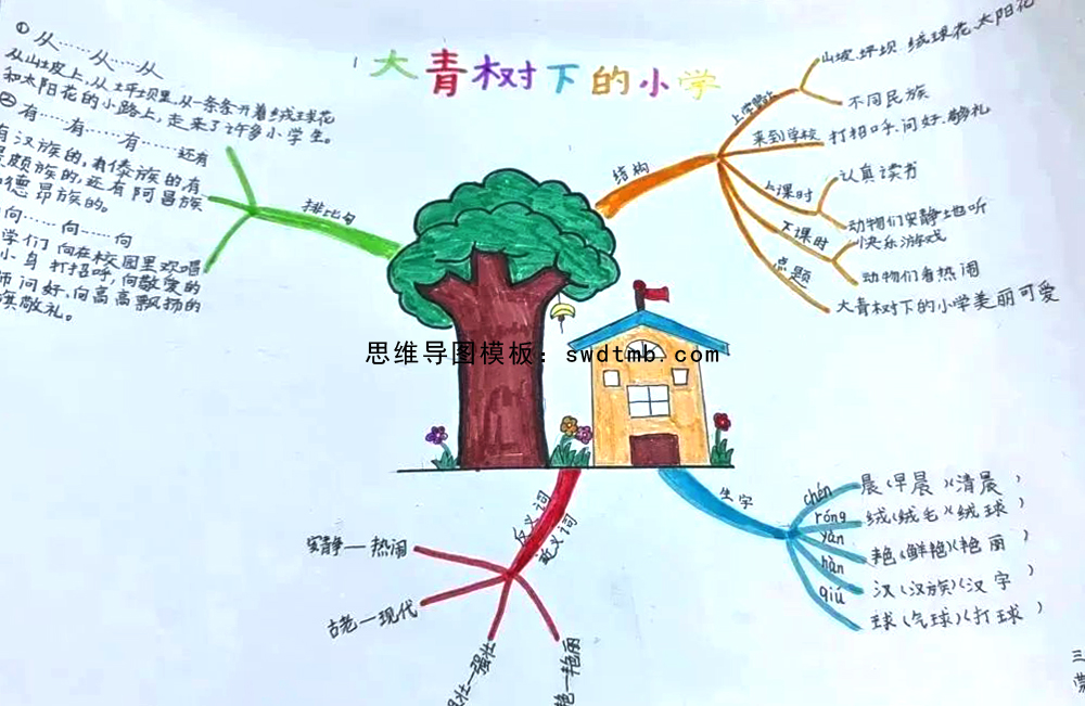 三年级语文课文《大青树下的小学》思维导图