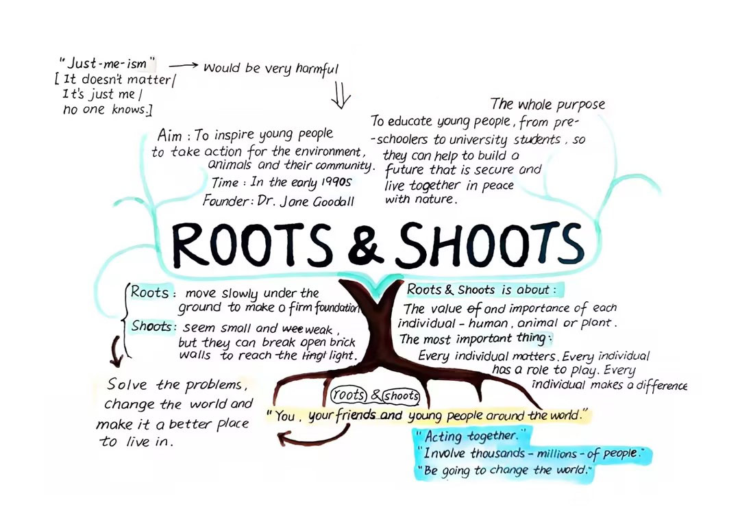 《roots shoots》高中英语思维导图模板