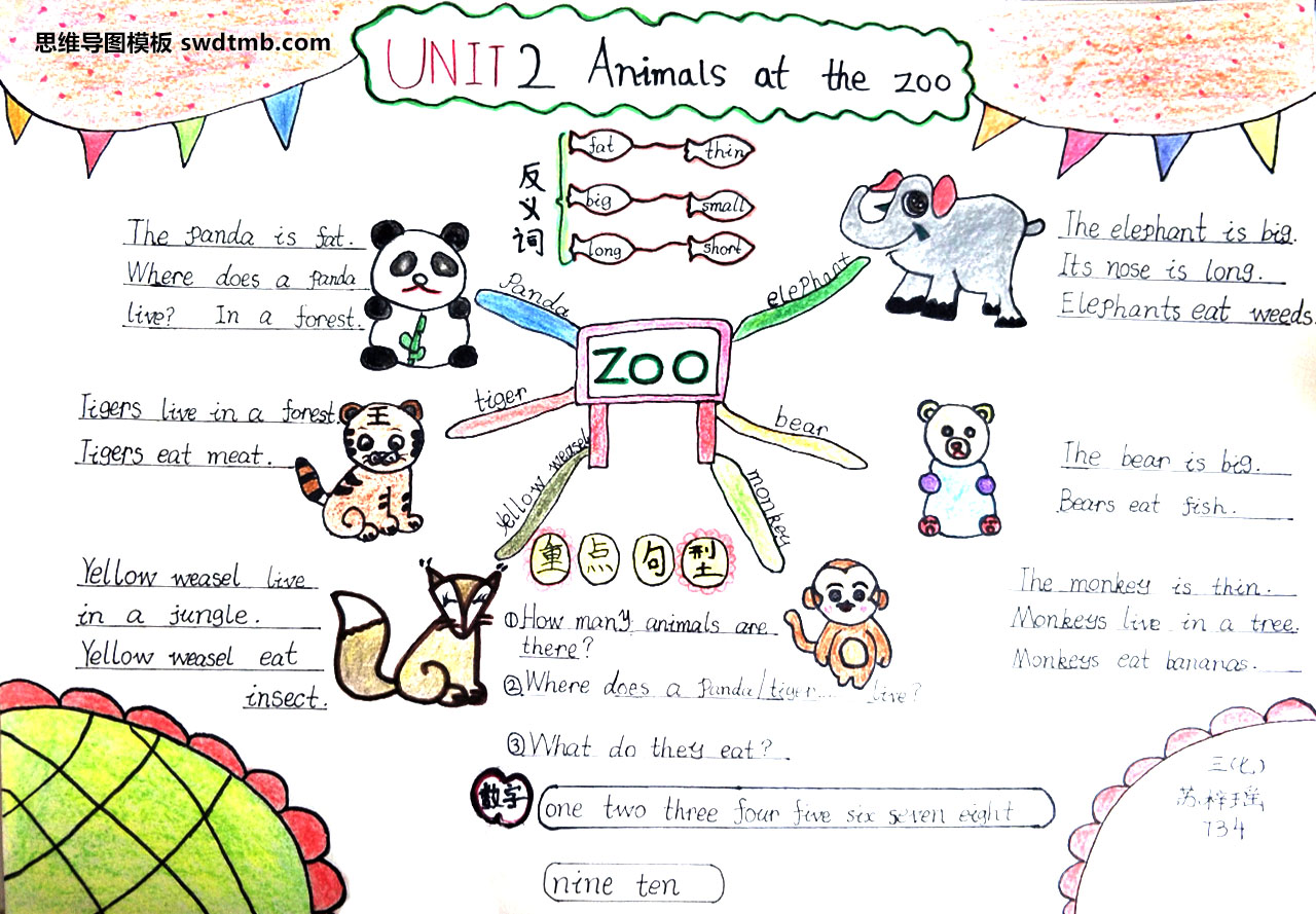 小学英语三年级下册 Unit2《 Animals at the zoo》思维导图