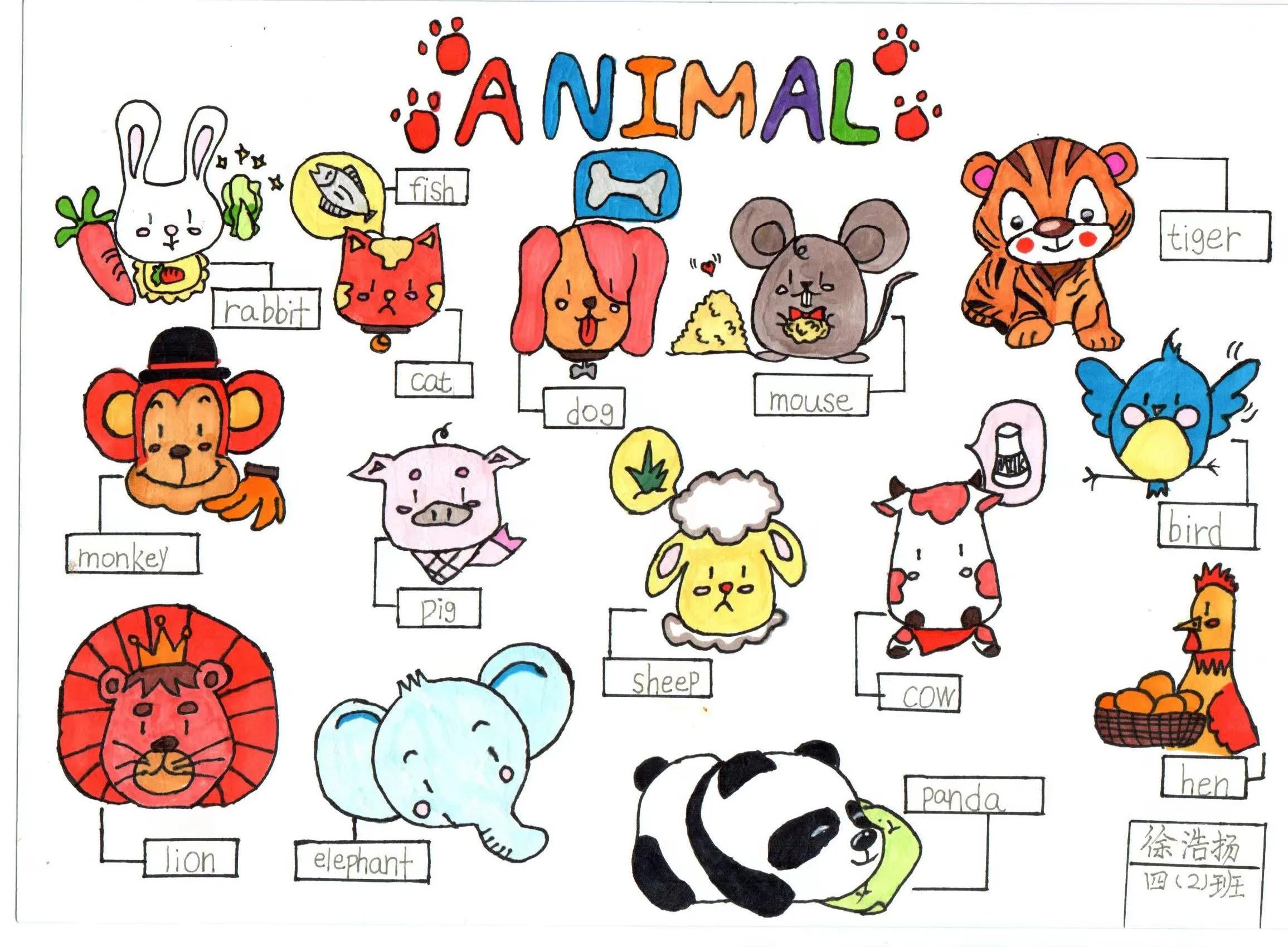 四年级英语动物词汇思维导图