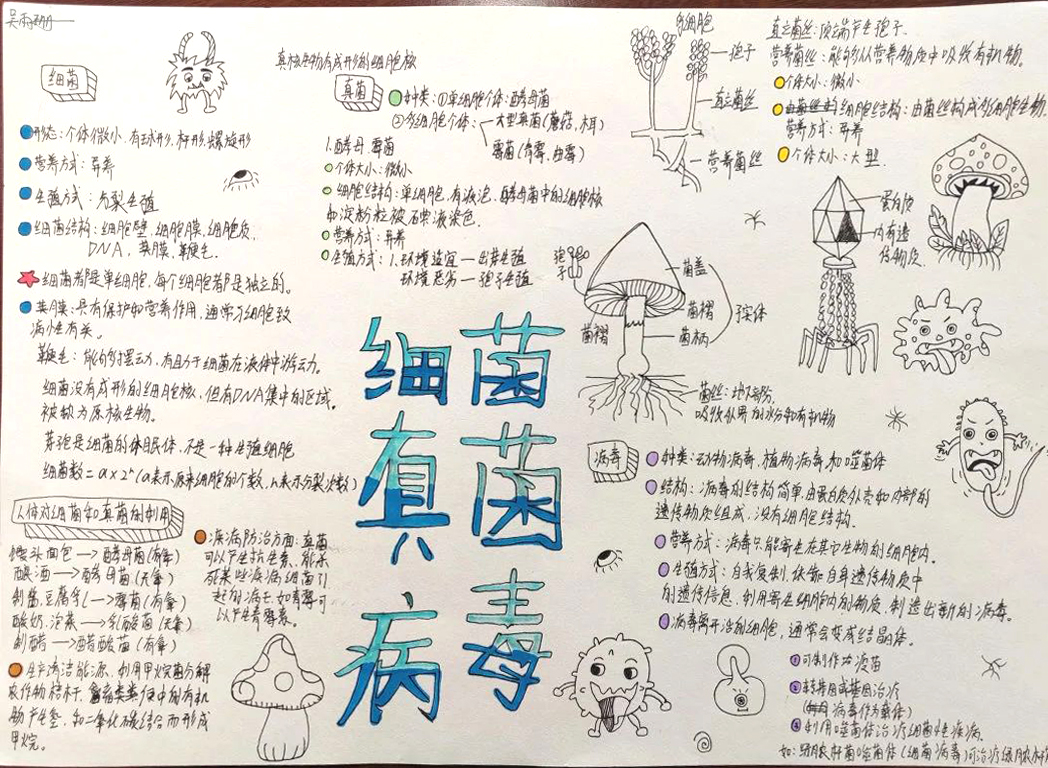 八年级生物“细菌、真菌、病毒”思维导图-第4张