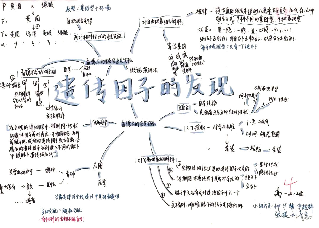 高一生物《遗传因子的发现》思维导图