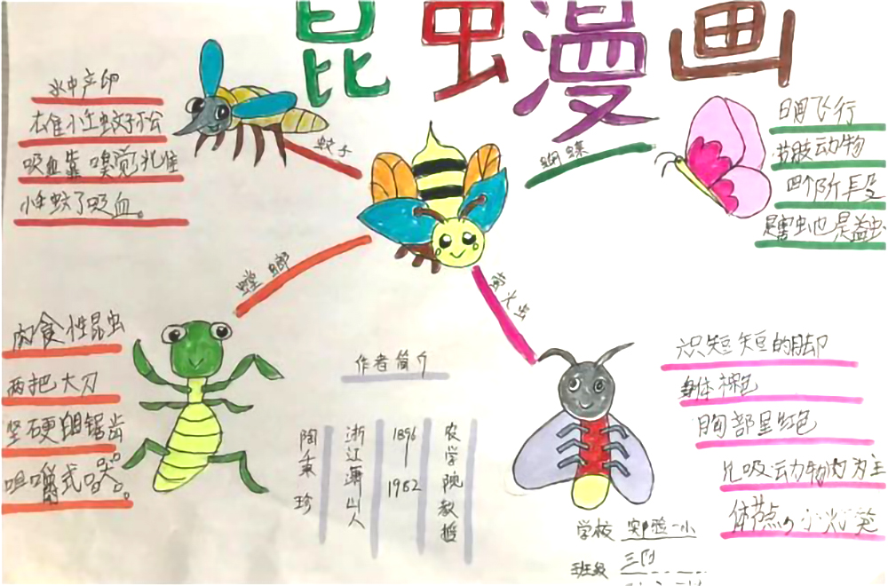 中小学生阅读书目《昆虫漫画》思维导图-第1张