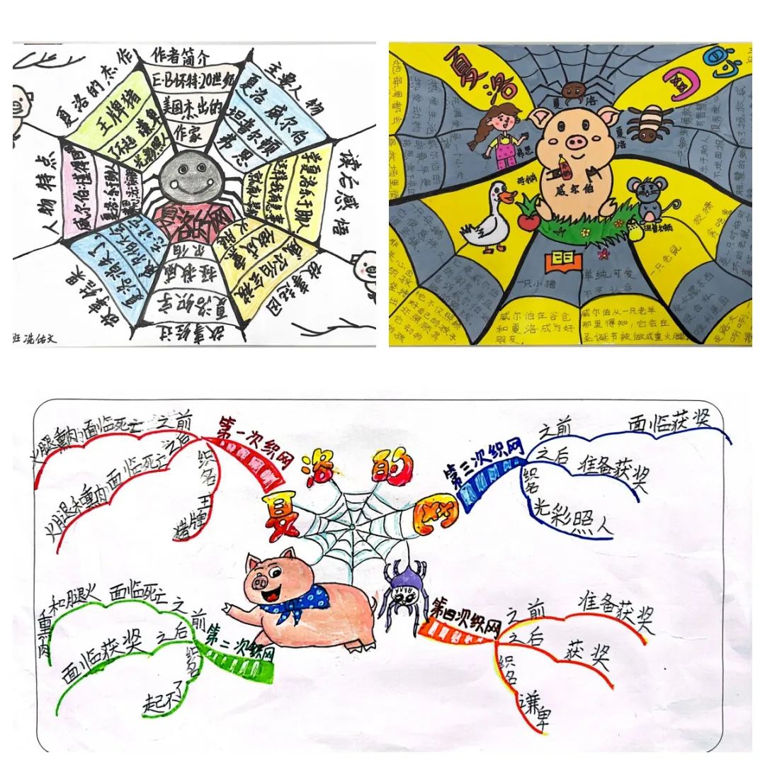 三年级《夏洛特的网》思维导图绘画（5张）
