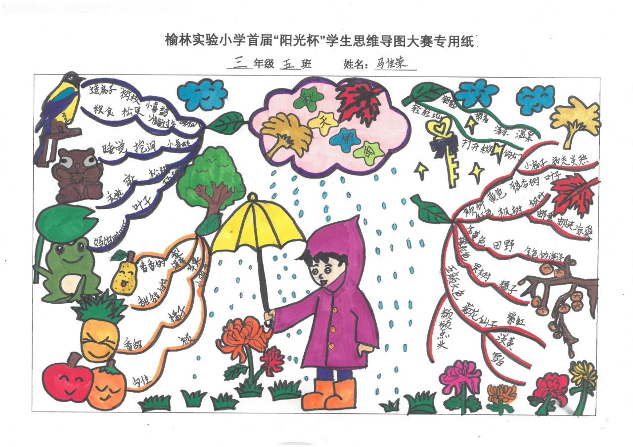 三年级语文上册第6课《秋天的雨》 思维导图-第1张