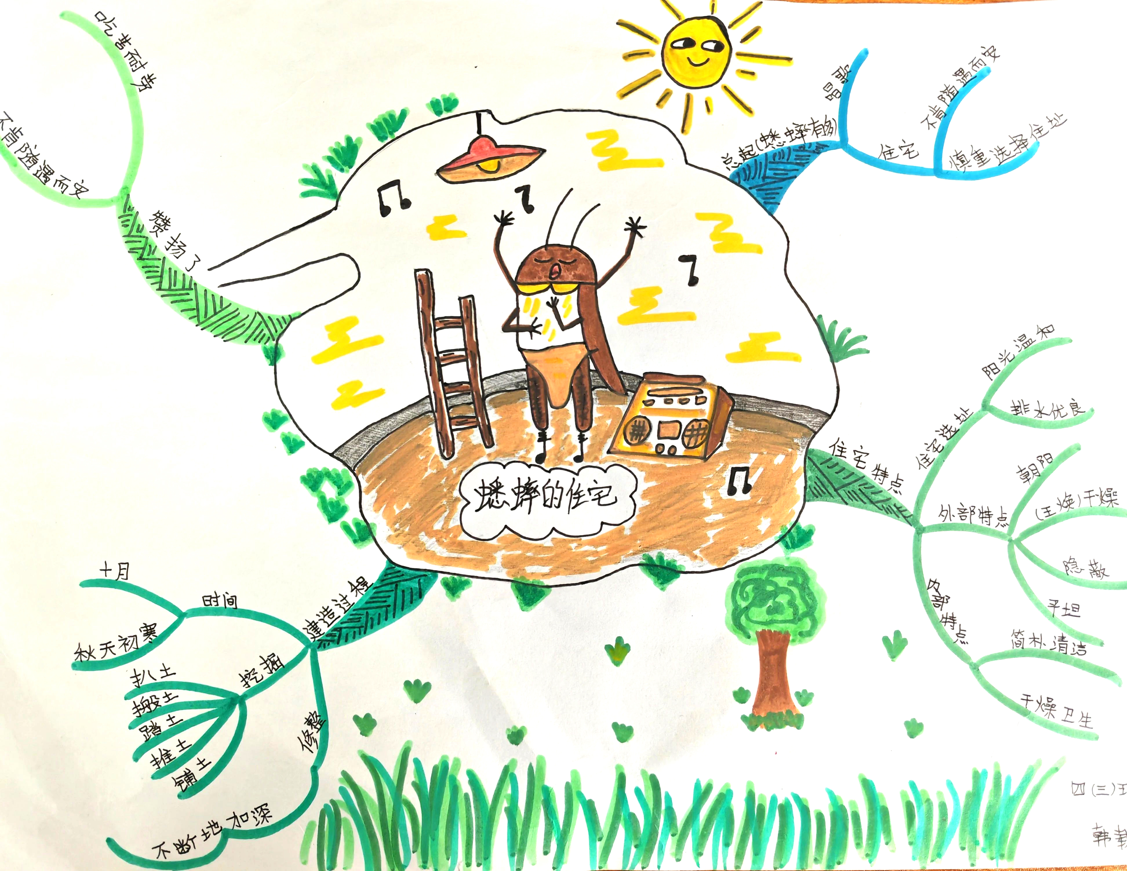 小学四年级语文课文《蟋蟀的住宅》思维导图