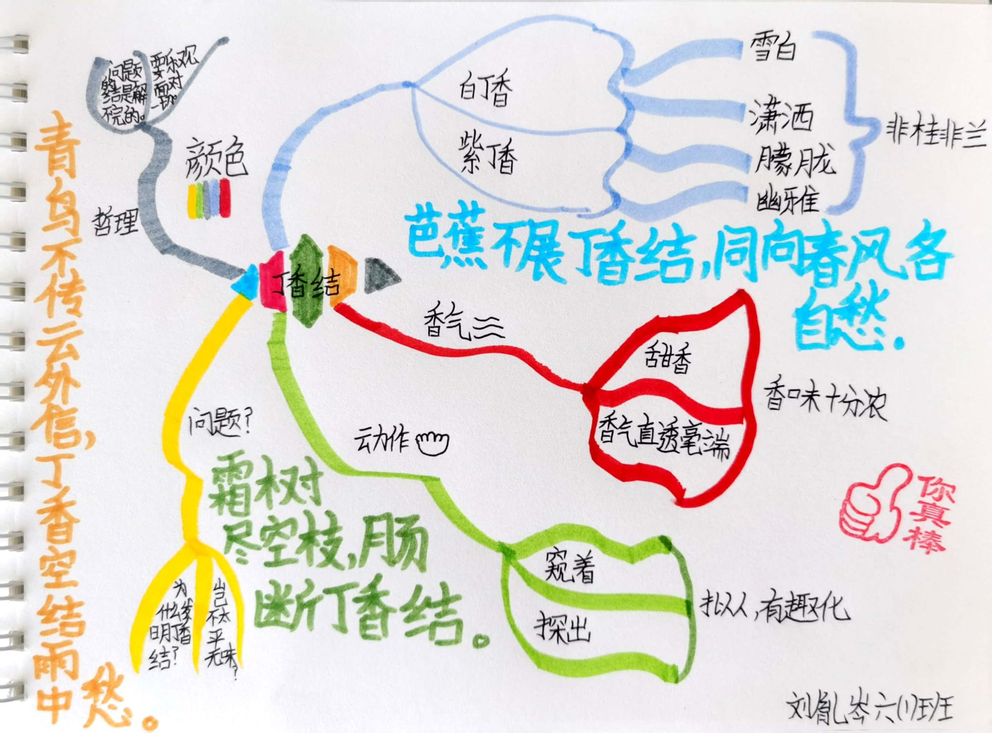 漂亮的《丁香结》思维导图图片-第5张