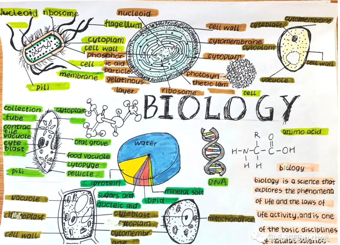 高一年级英语主题词汇思维导图 Biology