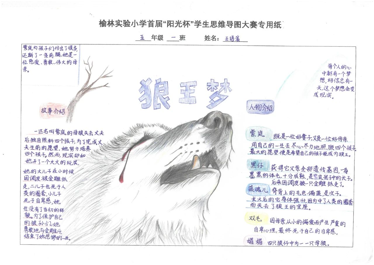 五年级学生《狼王梦》阅读思维导图优秀作品