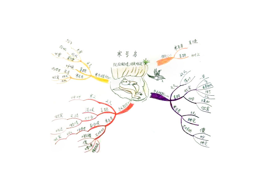 简单又漂亮的寒号鸟思维导图