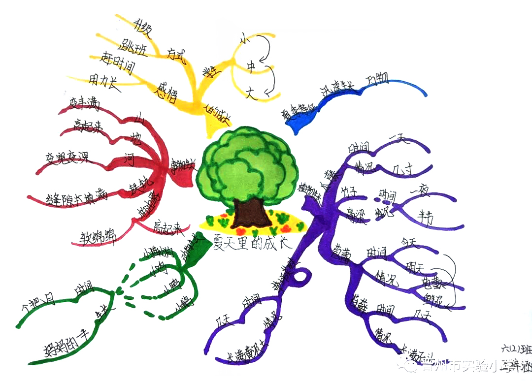 小学语文思维导图 六年级《夏日里的成长》思维导图-第5张