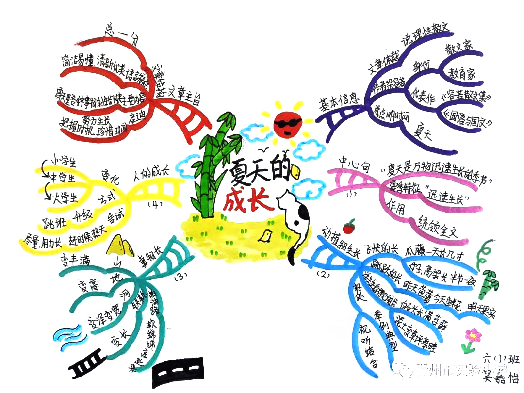 小学语文思维导图 六年级《夏日里的成长》思维导图-第1张