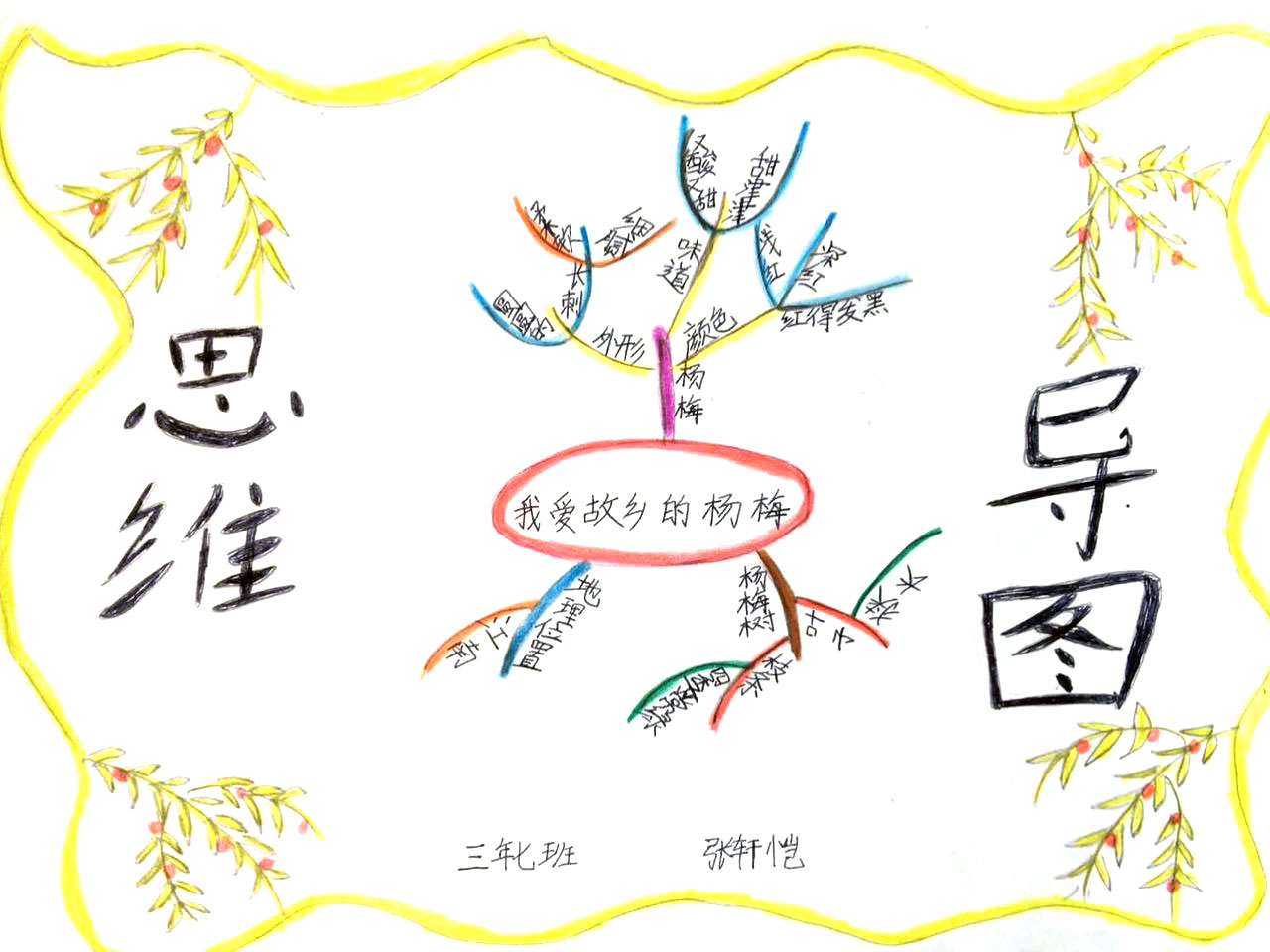 《我爱故乡的杨梅》三年级语文思维导图-第2张