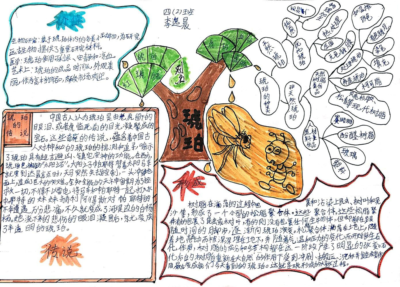 四年级语文第5课《琥珀》思维导图怎么画