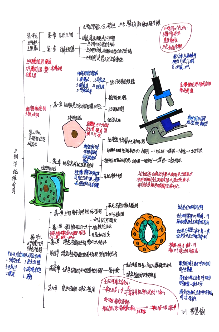七年级生物学思维导图1-3单元知识梳理