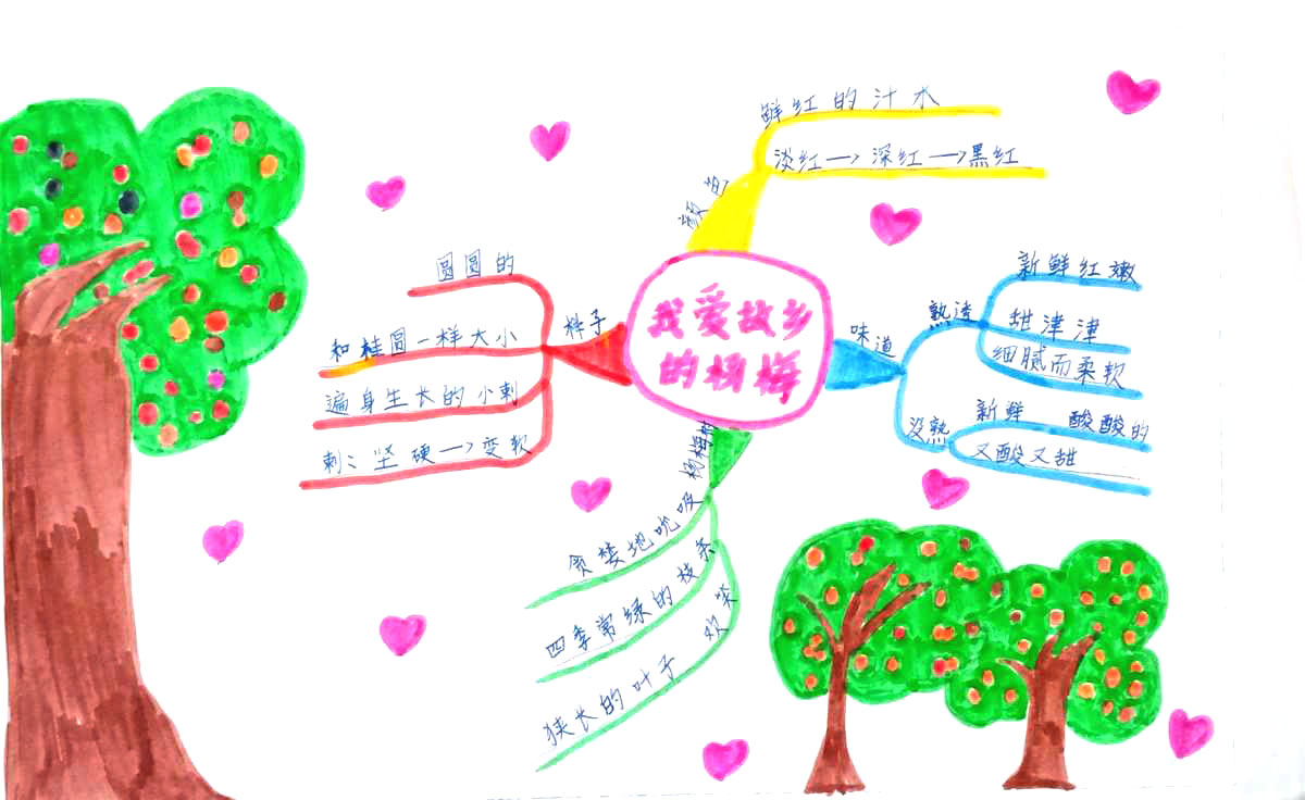 三年级语文《我爱故乡的杨梅》思维导图精选3张