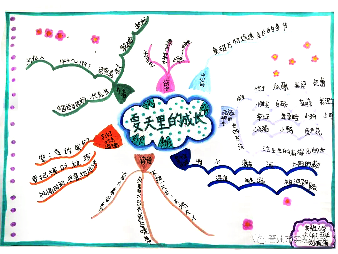 小学语文思维导图 六年级《夏日里的成长》思维导图-第10张