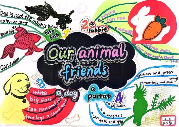 五年级英语unit3 Our animal friends学习思维导图-第2张