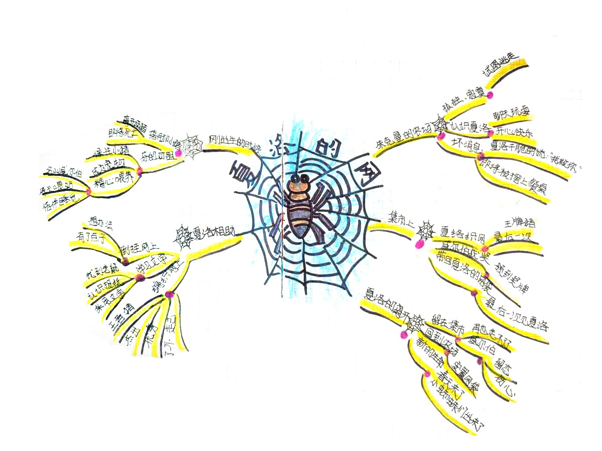 三年级《夏洛的网》结构梳理思维导图精选-第5张