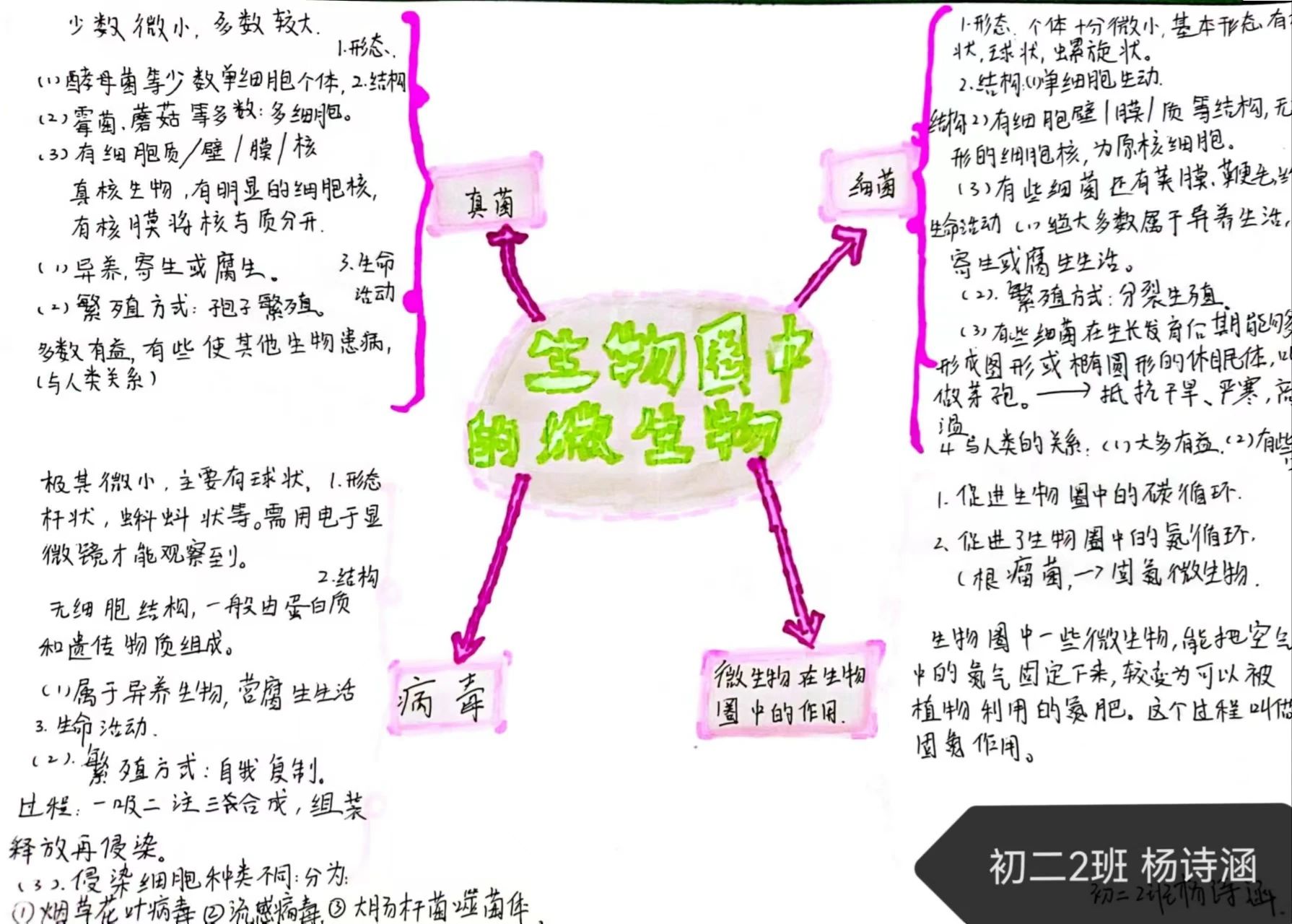 生物圈中的微生物思维导图-第10张