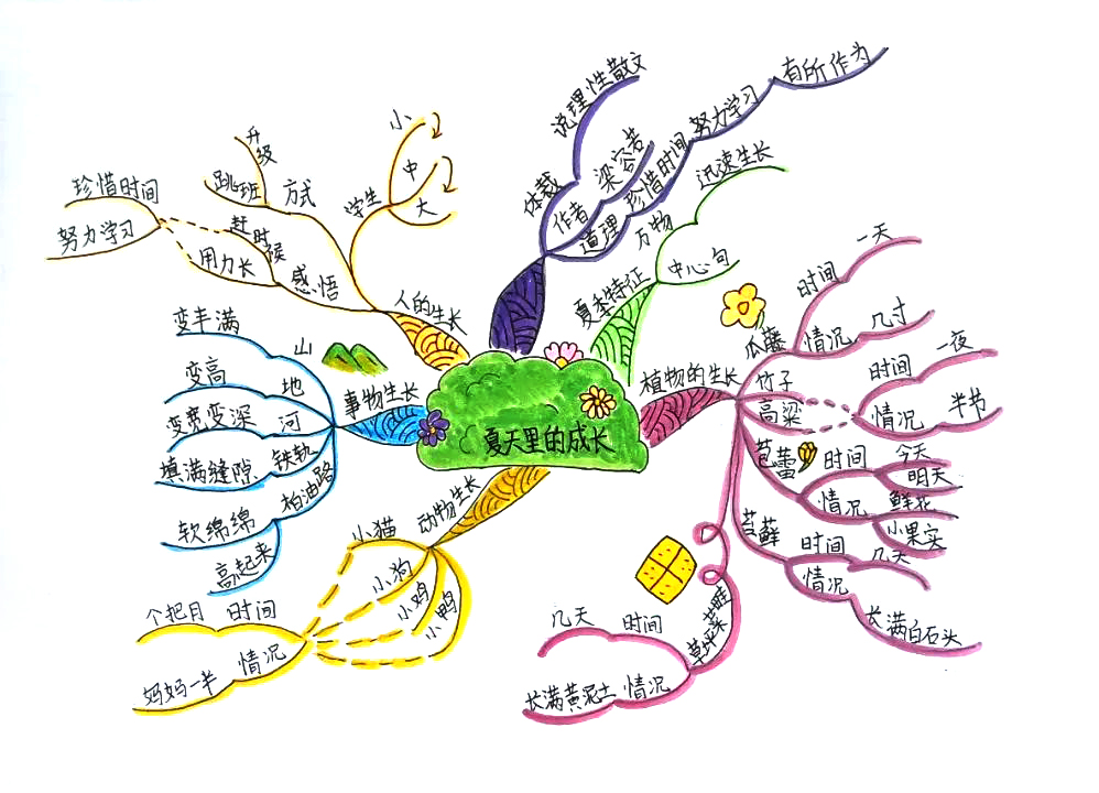 小学语文思维导图 六年级《夏日里的成长》思维导图-第2张